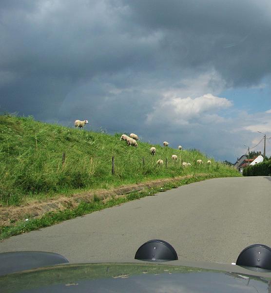2de Oldtimerrit op 15 juli 2012 te Grimbergen (75).JPG